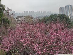 -磁器口古镇
