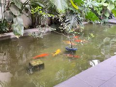 -漫笙舍Manse·咖啡·民宿