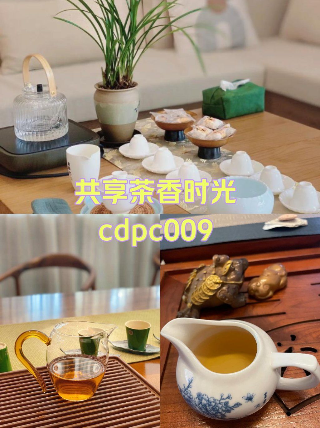 成都品茶海选工作室和好友共享茶香时光