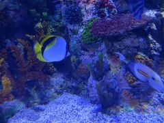 -乌鲁木齐海洋馆