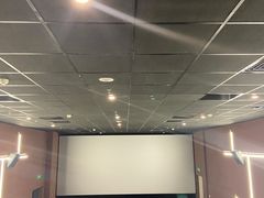 -大地院线珠江摩尔店(CL全景超级影院)
