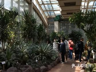 【攻略】不要小瞧了植物园