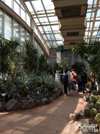 【攻略】不要小瞧了植物园