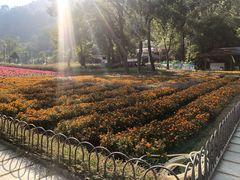 -宝晶宫旅游景区