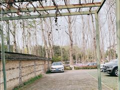 -美味之家·湖景农家乐(太湖东山店)
