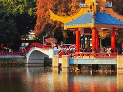 -金砂公园
