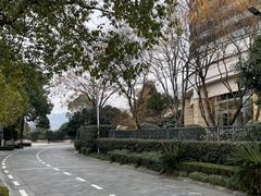 -绿城千岛湖喜来登度假酒店