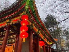-白家大院·王府宫廷菜(苏州街店)