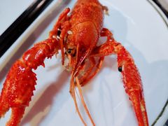 -虾弄弄海派小龙虾·牛羊蝎子火锅