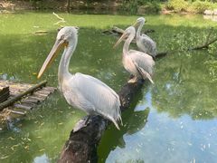 -济南野生动物世界