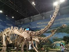 -自贡恐龙博物馆