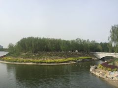 -大兴滨河森林公园