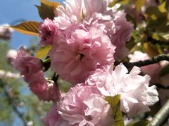 -一澜江宴·江景地标楚菜(江滩公园店)