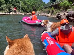 -安吉龙王山峡谷漂流