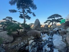 -罗红摄影艺术馆