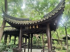 -上海佘山国家森林公园天马山园