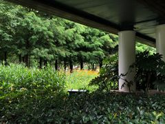 -昆山城市生态森林公园