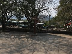 -武夷山风景名胜区-虎啸岩