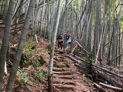 -会稽山峡洞漂流-上青古道