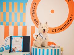 -帕帕拉兹宠物(亚洲旗舰店)