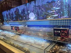 -芭菲盛宴·环球美食(锦城万达广场店)