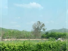 -野象谷景区