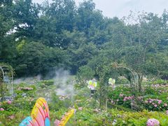 -上海共青森林公园