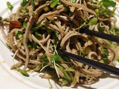 -小土豆北方菜馆(文慧园店)