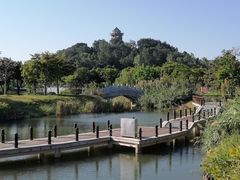 -王借岗森林公园