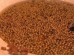 -胡马八破·川菜小馆(高新万达店)