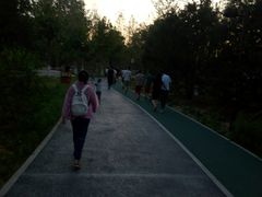 -回龙观体育文化公园