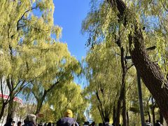 -沈阳职业技术学院