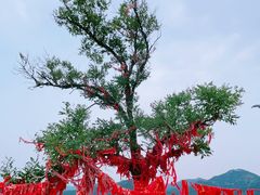 -青州市云门山风景区