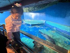 -太平洋海底世界