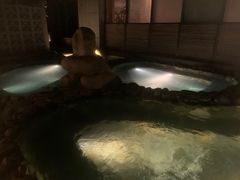 -春晖园度假酒店温泉