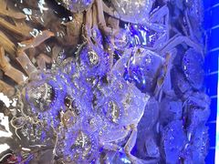 -四囍码头海鲜烧烤自助火锅(外滩南京东路悦荟广场店)