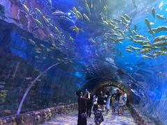 -华夏文旅西安度假区