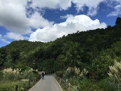 -贵阳市花溪国家城市湿地公园