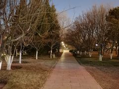 -元大都城垣遗址公园