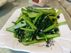 油白菜-煲来饱去冷水鱼