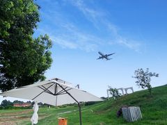 -空港花田景区
