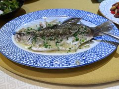 清蒸红斑鱼-顺峰海鲜酒楼(省府店)