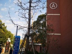 -上海交通大学医学院附属第九人民医院(浦东院区)
