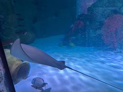 -沈阳海洋探索中心