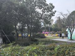 -金鸡湖桃花岛
