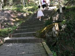 -大围山国家森林公园