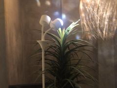 -施奈儿.洗头頭療.按摩SPA.采耳(上梅林店)