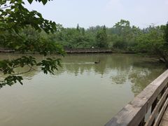 -溱湖国家湿地公园