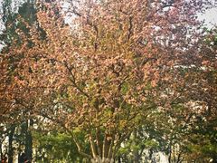 -湖北味道(湖北大厦店)