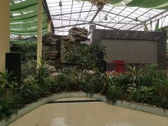 -陶然居·重庆菜(生态园店)